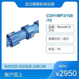350A1X B2CGEMEW力士乐液压缸 100 定制油缸CDH1MP3