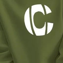 薄款纯棉卫衣女2025春秋韩版无帽宽松套头长袖圆领假两件上衣衫