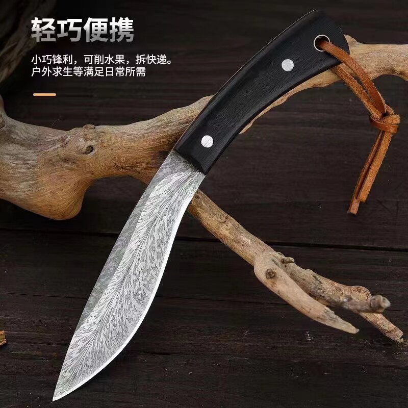 家用水果刀户外刀便携厨房多用刀露营方便蒙古小刀吃手把肉刀牛排,厨房/烹饪用具,蔬果刨丝器/瓜果刀,淘宝优惠券,粉丝福利购,淘宝优惠卷