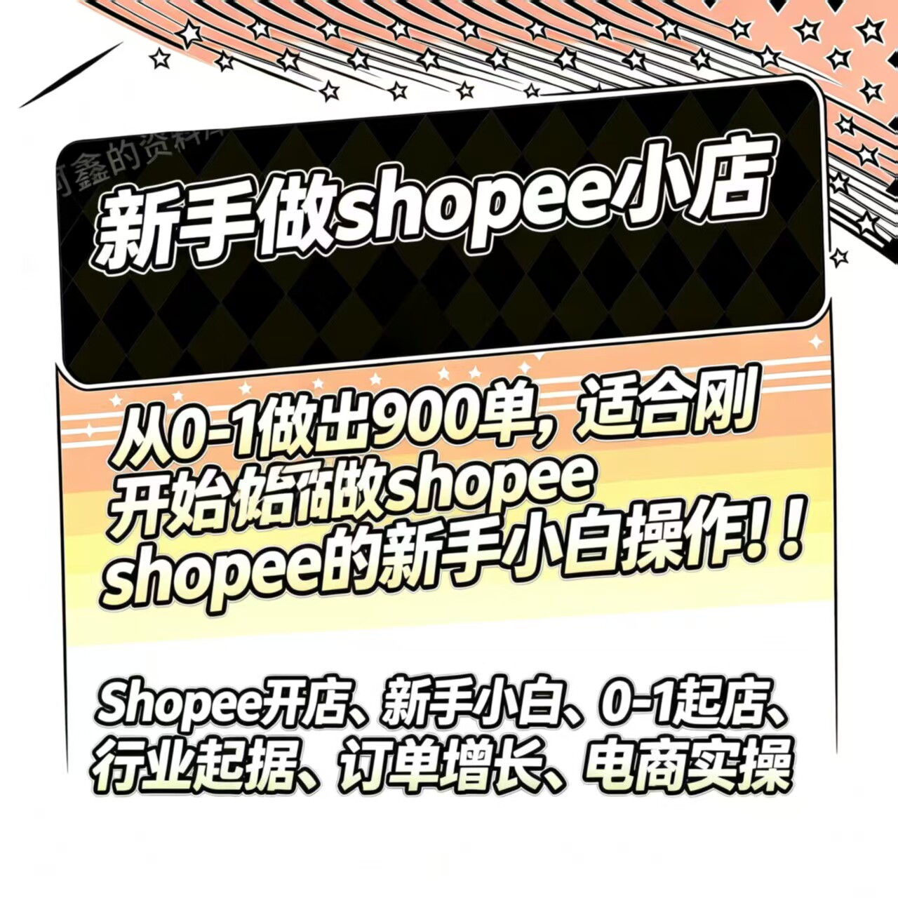 东南亚跨境电商虾皮 陪跑课程 0基础入门 新手可学 2026