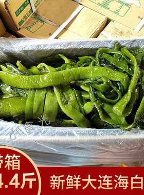新鲜海白菜非干货裙带菜梗段海带丝海菠菜厚咸菜大连腌渍带水