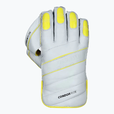 板球Cricket DSC Condor Flite Wicket Keeping Gloves Youth