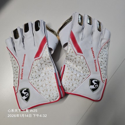 板球Cricket keeper glove Sg hilite Customized red Adult定制