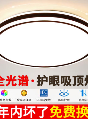 led吸顶灯圆形走廊过道灯阳台灯房间灯卧室灯客厅灯大厅中山灯具