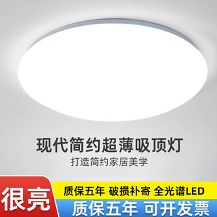 新款 过道灯 LED吸顶灯圆形超亮现代简约吊灯卧室阳台楼道客厅家装