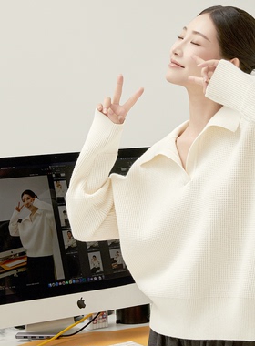 华夫格老钱风POLO领针织秋冬女士复古休闲毛衣