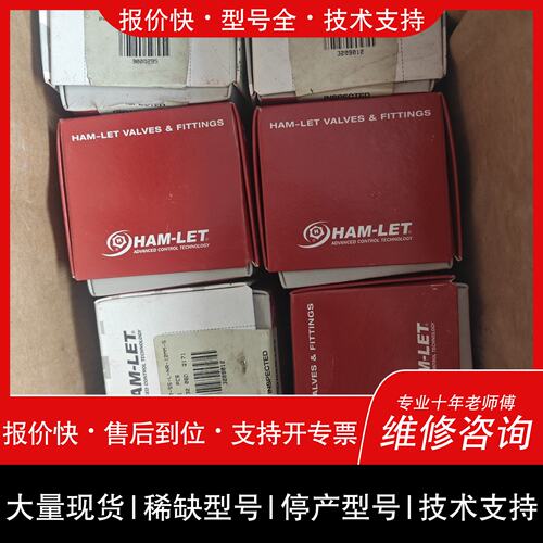 可维修H99S00NR12MM HAM-LET哈姆雷议价