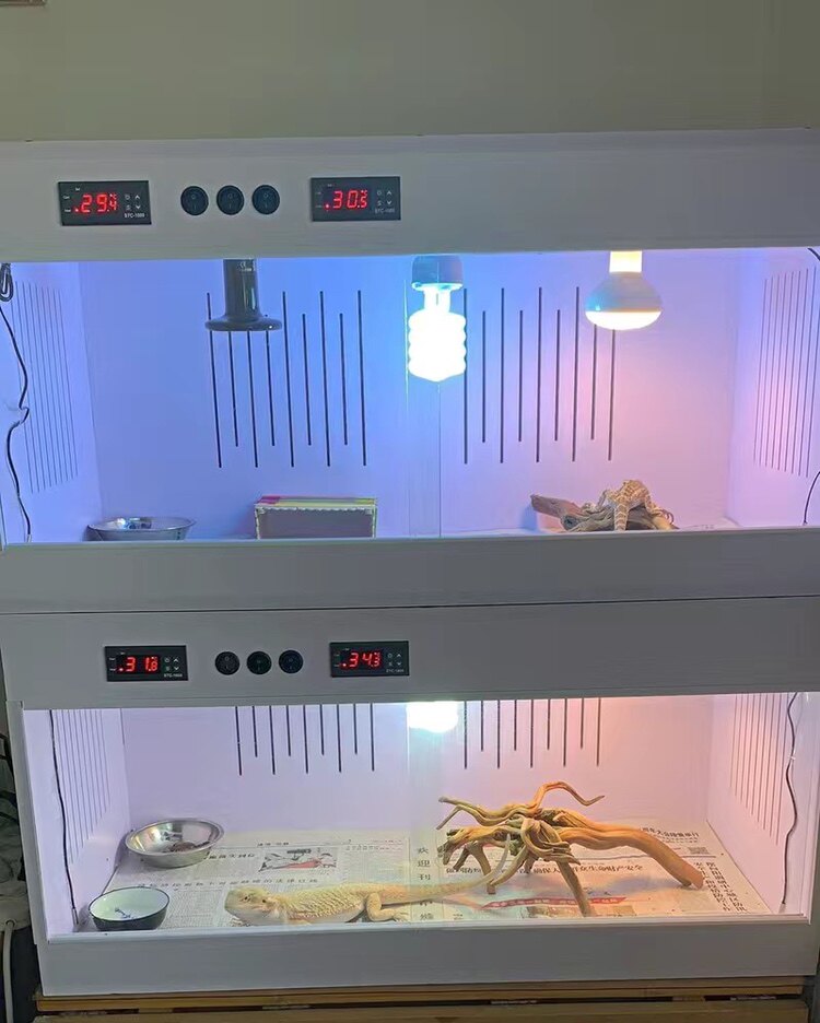 爬宠饲养箱pvc芦丁鸡鬃狮蜥蜴爬箱寄居蟹刺猬乌龟鹦鹉加热保温箱