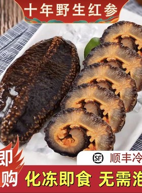 即食海参红极参特大号6-9头/斤装