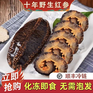 大连即食海参鲜活速冻红极参新鲜辽刺参非干参冷冻野生海参5斤装