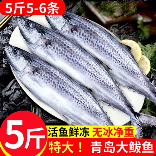 青岛深海新鲜冷冻马鲛鱼5斤5-6条