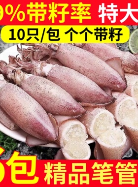 海兔子满籽墨鱼仔新鲜海兔鲜活带籽笔管鱼大乌贼籽乌鱿鱼海鲜水产