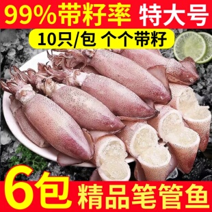 海兔子满籽墨鱼仔新鲜海兔鲜活带籽笔管鱼大乌贼籽乌鱿鱼海鲜水产
