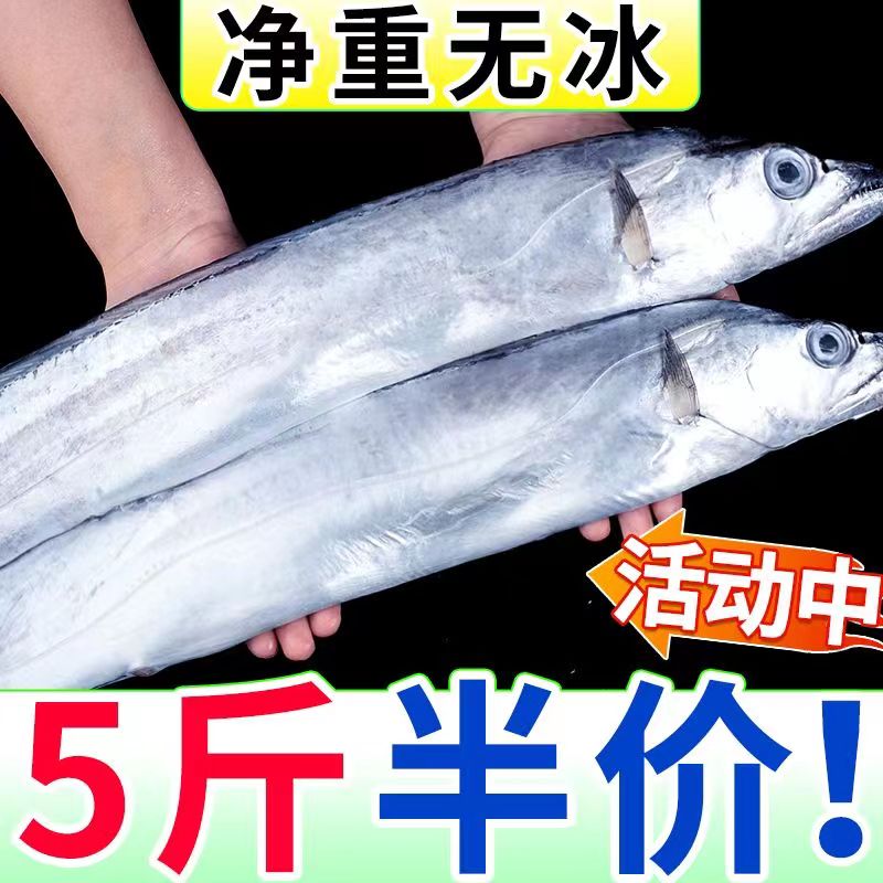 5斤净重8-9条超大带鱼特级白刀鱼