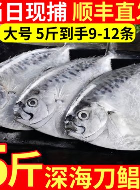 大海十三深海海捕冷冻刀鲳鱼整箱
