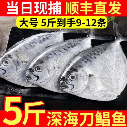 大海十三深海海捕冷冻刀鲳鱼整箱