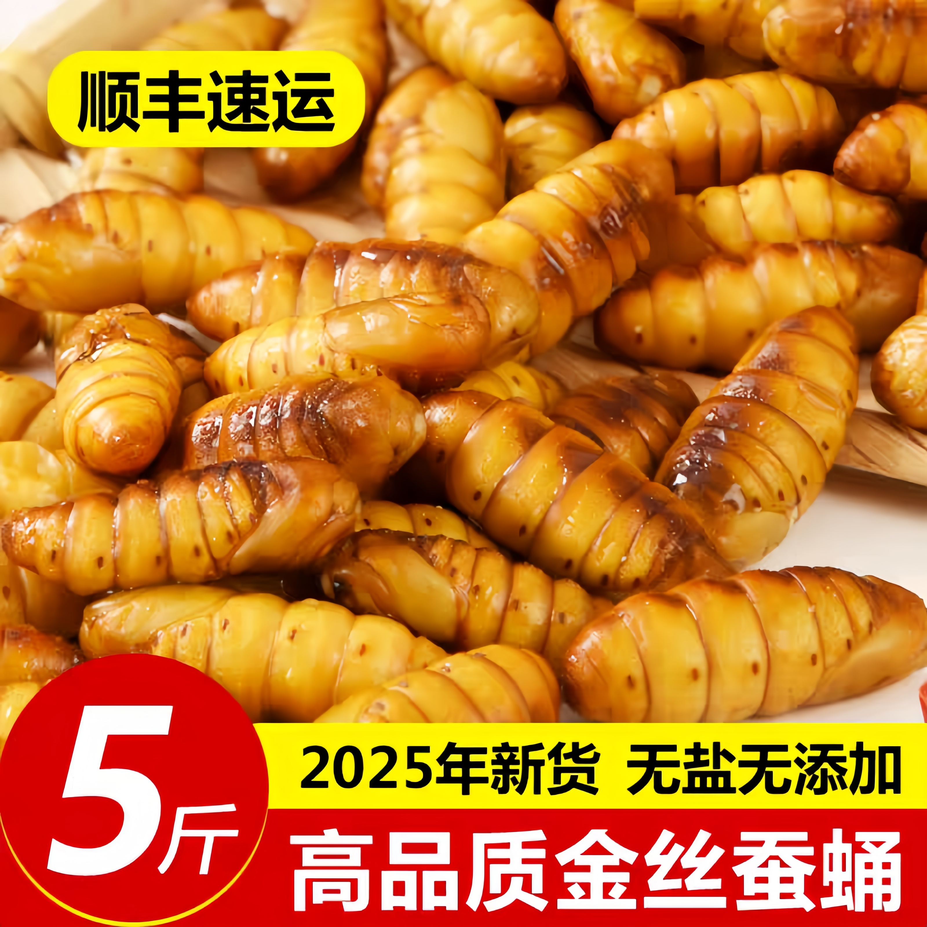 金丝蝉蛹鲜活新鲜冷冻山东特产黄金蝉蛹油炸小桑蚕蛹无盐商用烧烤