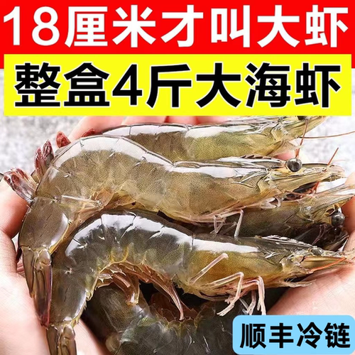大海十三青岛船冻超大青虾4斤装
