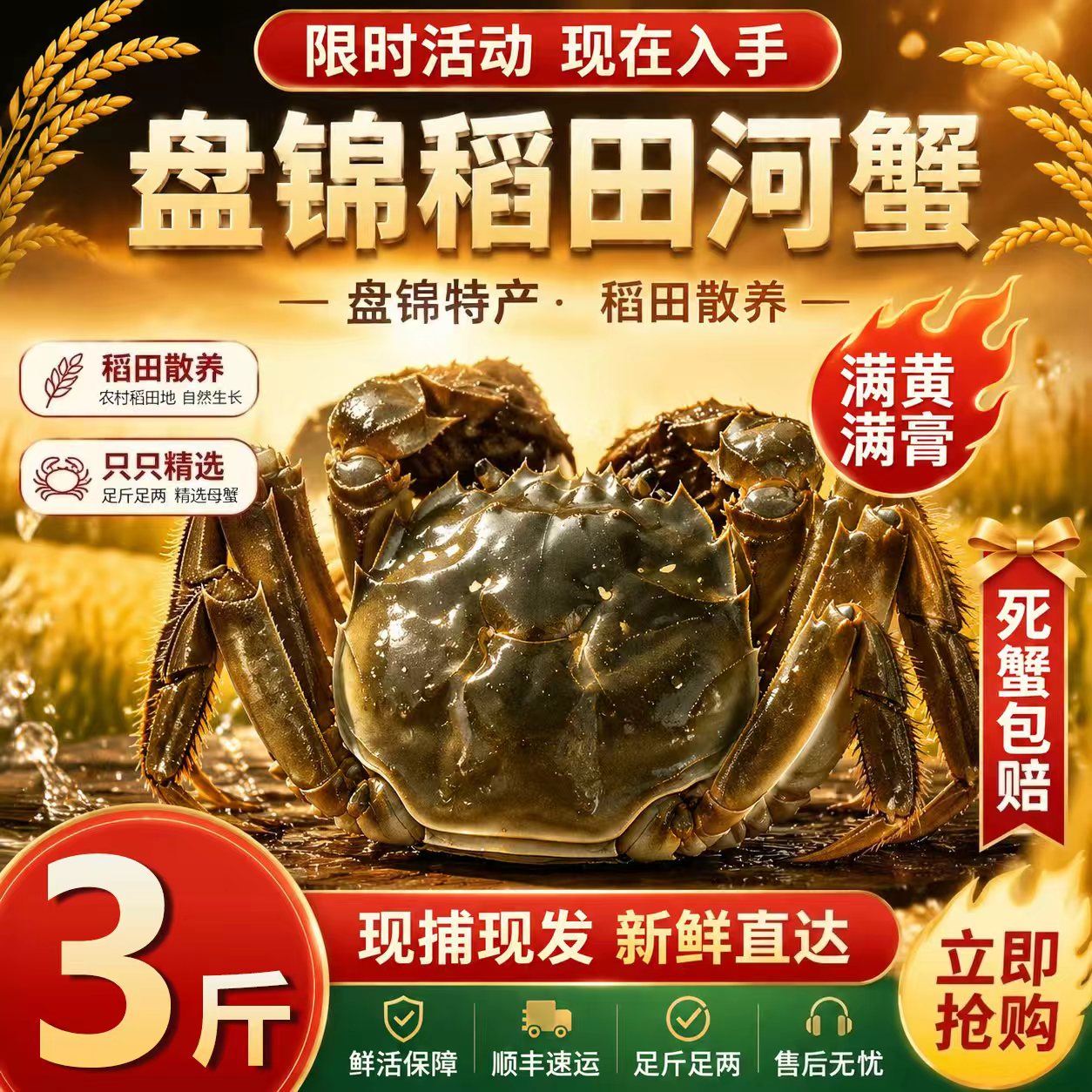 盘锦3斤鲜活特大母河蟹礼盒