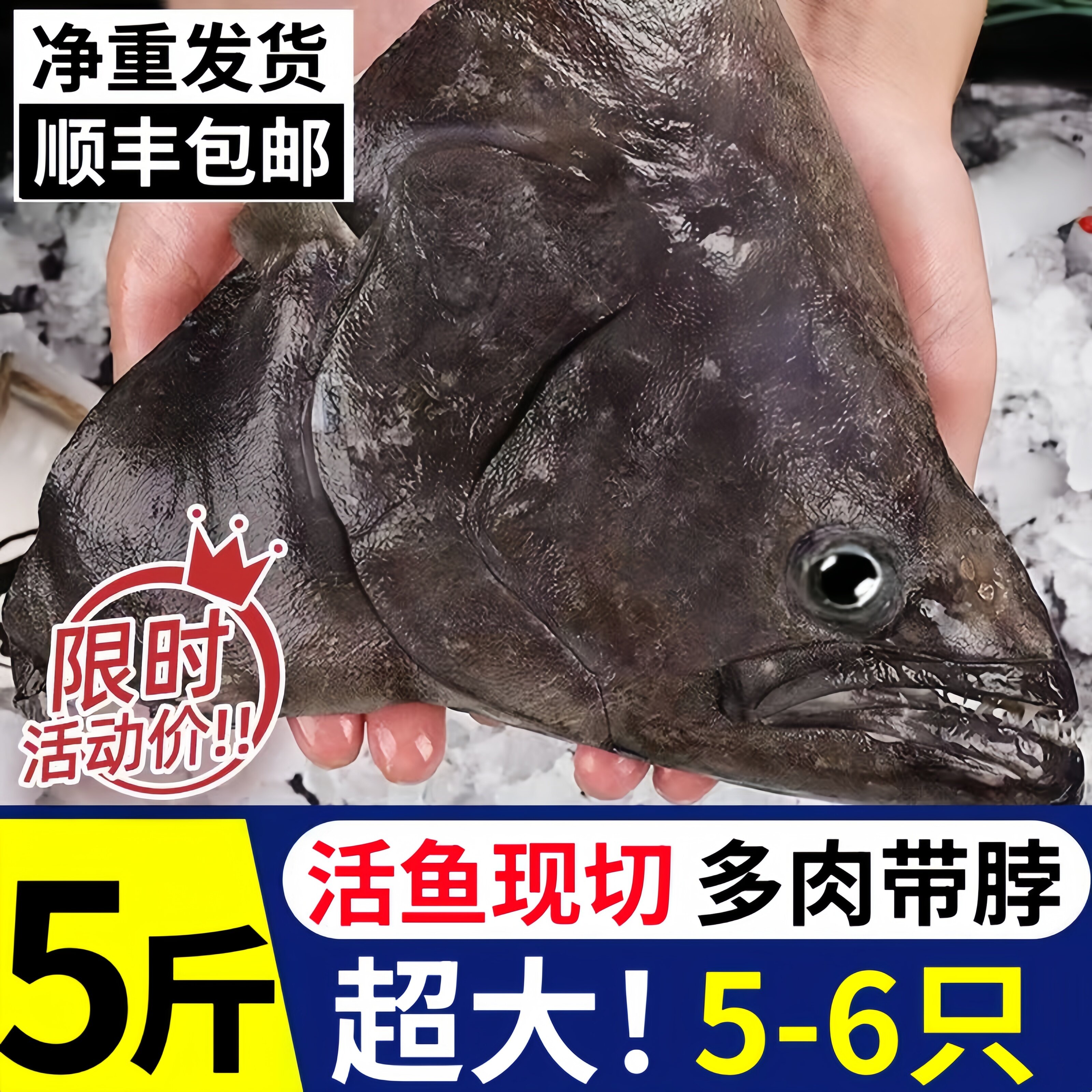 5条深海冷冻超大鲽鱼头带脖多肉