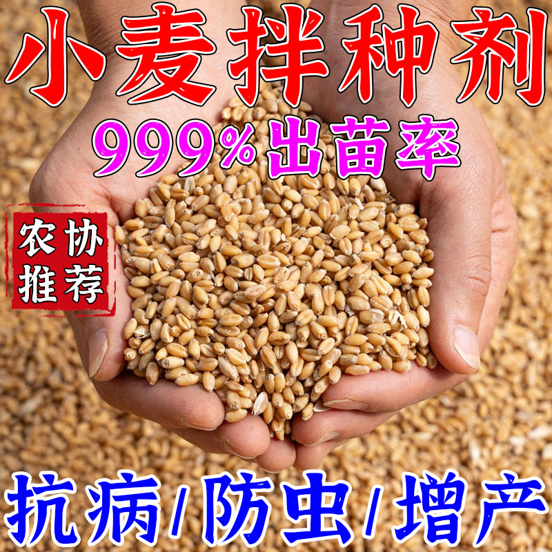 小麦专用拌种剂杀菌病防病防虫