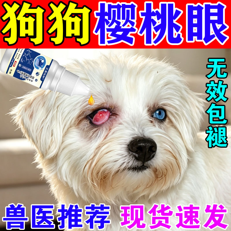狗狗樱桃眼滴眼液缓解红肿图片