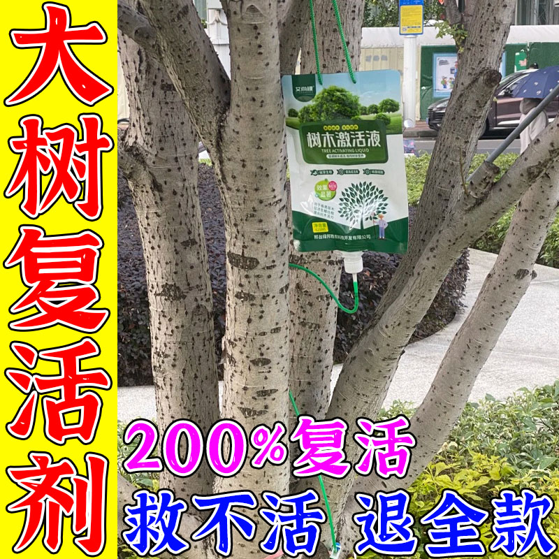 大树营养液强力生根复活液