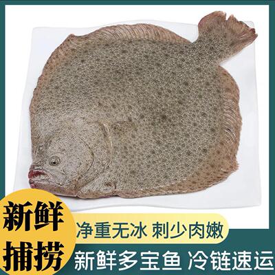 鲜活多宝鱼新鲜比目鱼大菱鲆野生海鲜鱼类冷冻水产冷冻海鲜