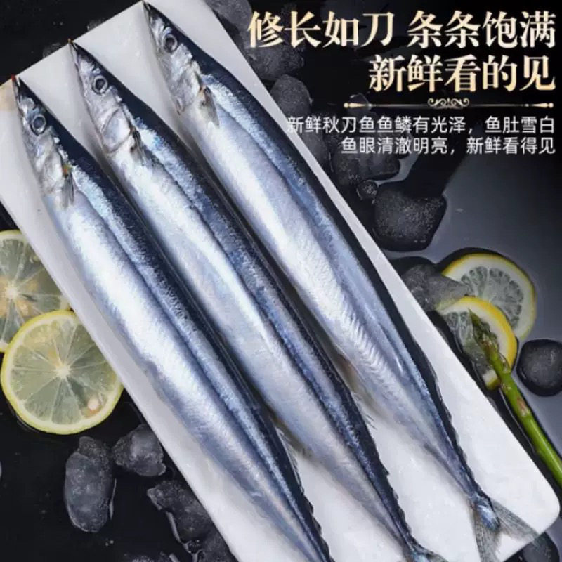 秋刀鱼新鲜鲜活冷冻大号海捕深海鱼日式秋刀鱼烧烤食材香煎秋刀鱼图片