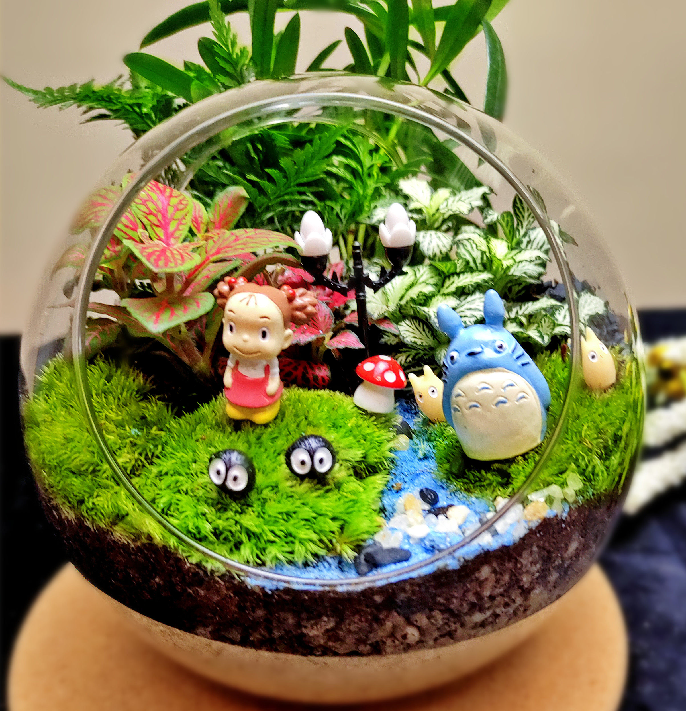 生态瓶节日礼物 苔藓微景观迷你植物 桌面绿植diy成品