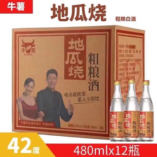 浓香型白酒 12瓶装 42度 整箱480ml 52度 牛薯地瓜烧粗粮酒