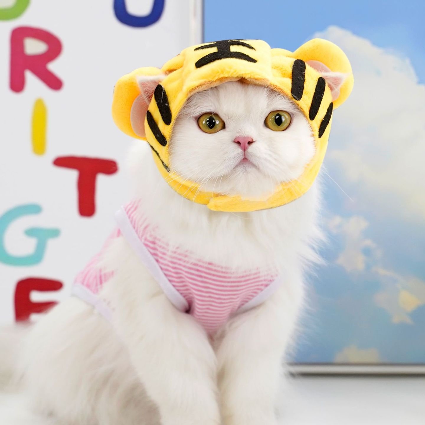 宠物太阳花帽子狗狗猫咪香蕉头饰老虎头套泰迪法斗用品,宠物/宠物食品及用品,帽子,淘宝优惠券,粉丝福利购,淘宝优惠卷