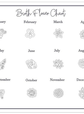 欧美时尚母亲节生辰花简约项链  12月份生辰花个性化