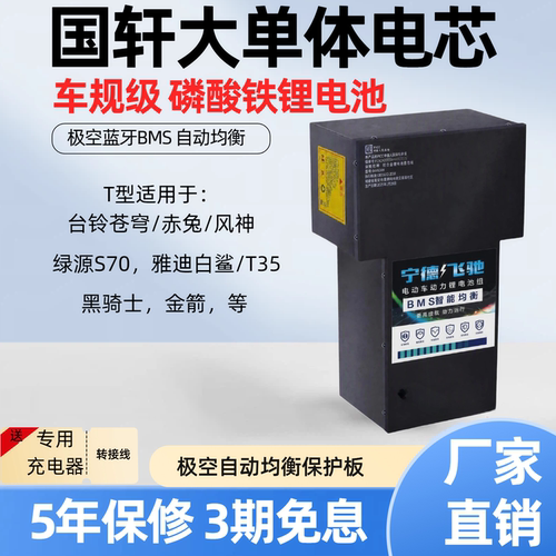 电摩电动车磷酸锂电池T型72V国轩锂电池九号MZMixNZMix极核AE5AE4