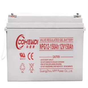 UPS 绿色环保型 EPS后备应急电 120AH 蓄电池NPG12