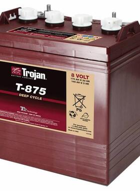 Trojan蓄电池T-125PLUS 6V240AH升降机 观光车专用电池