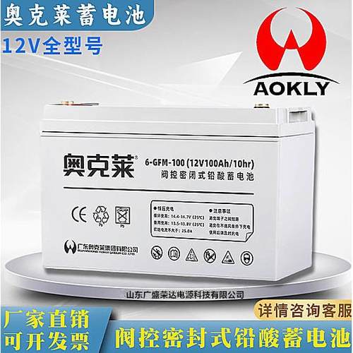 蓄电池6-GFM-10012V24 38 40 65 120AH机房直流屏专用