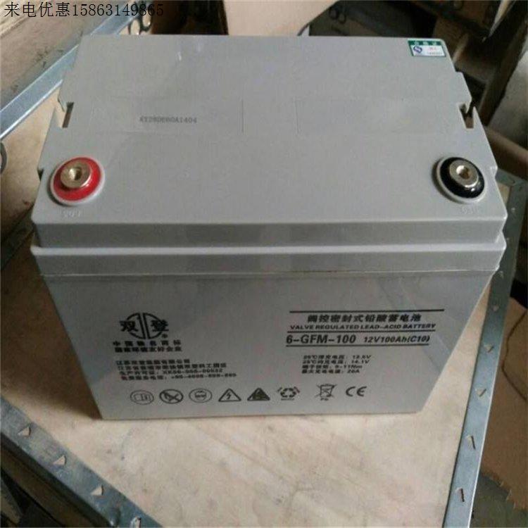 双登免维护蓄电池6-GFM-100 12V100AH通讯基站UPS电源铁塔通信