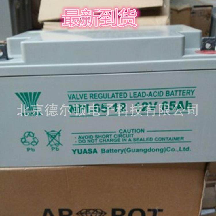 日本汤浅NPL65-12 汤浅12V6H阀控式铅酸蓄电池 直流屏