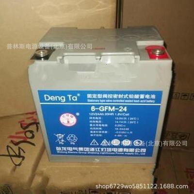 DengTa/灯塔6-GFM-24蓄电池 卧龙12V24AH阀控式电力ups直流屏电池