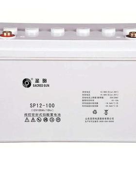 蓄电池SSP12-9/12V9AH应急照明 消防系统 电梯配件纸箱非进口