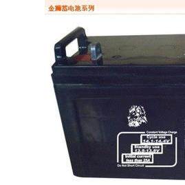 12V6H路灯ST12-100机房UPS电源电瓶/监控/太阳能