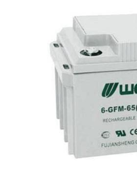 weida6-FM-65 12V65AH基站 机房UPS电源EPS直流屏 通讯