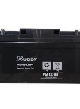 BUDDY蓄电池6-FM-200 12v200ah阀控式设计免维护铅酸蓄电池