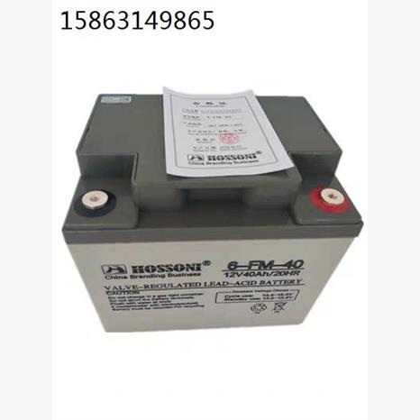 HOSSONI鸿宝蓄电池 6FM40 12V40AH卷帘门电梯设备 UPS直流屏