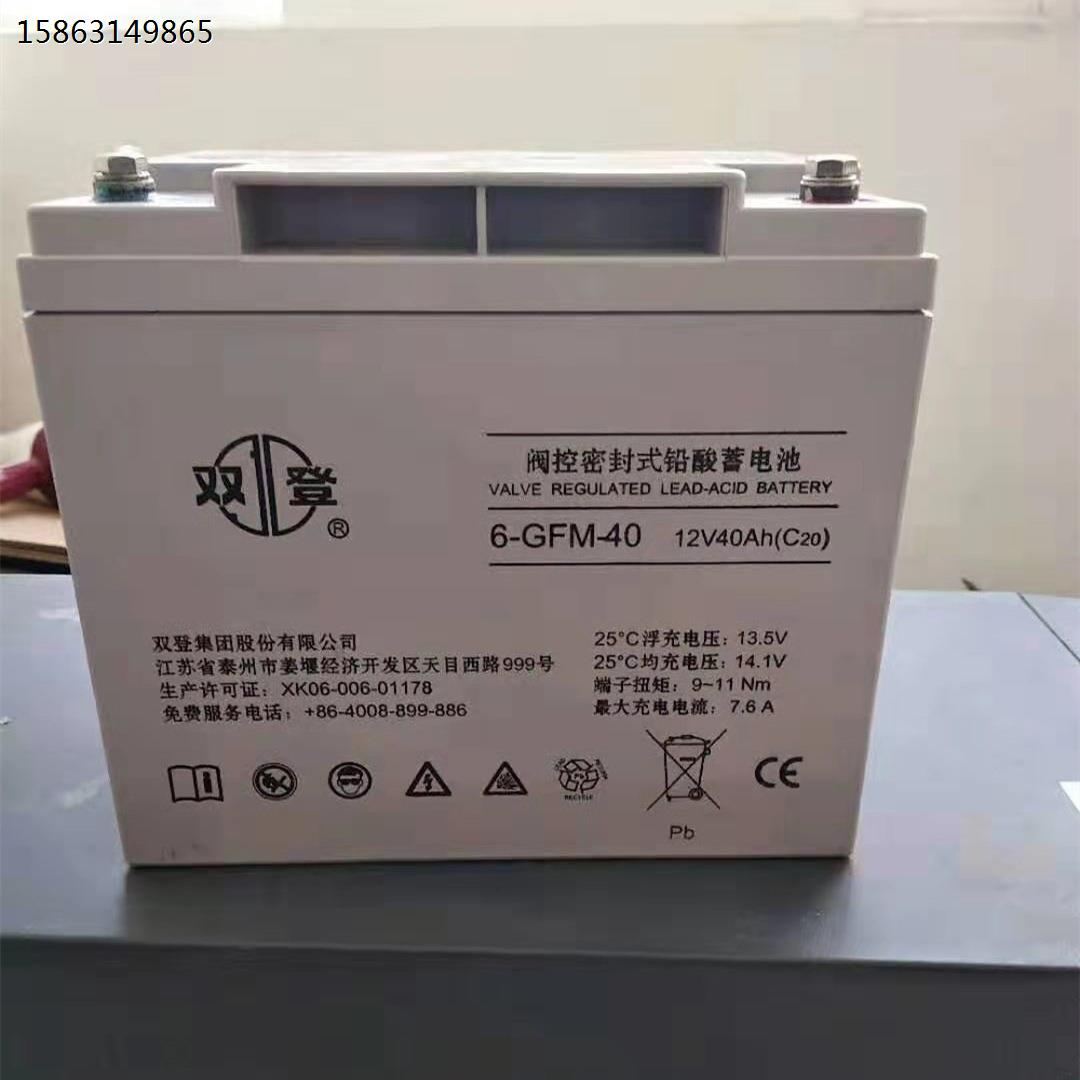 蓄电池12V100AH铅酸免维护6-GFM-100直流屏UPS/EPS电源营销中
