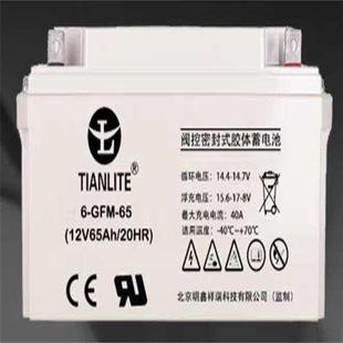 阀控密封型 120 网络机房UPS不间断电 GFM TIANLITE天力特蓄电池6