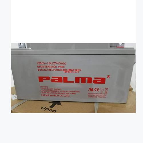 PALMA韩国蓄电池PM55-12 12V55AH直流屏UPS 阀控式储能电源