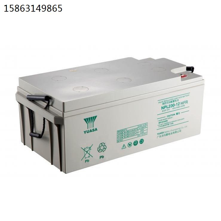 蓄电池NPL220-12 12V220AH直流屏 配电柜 机房服务器稳压 EPS