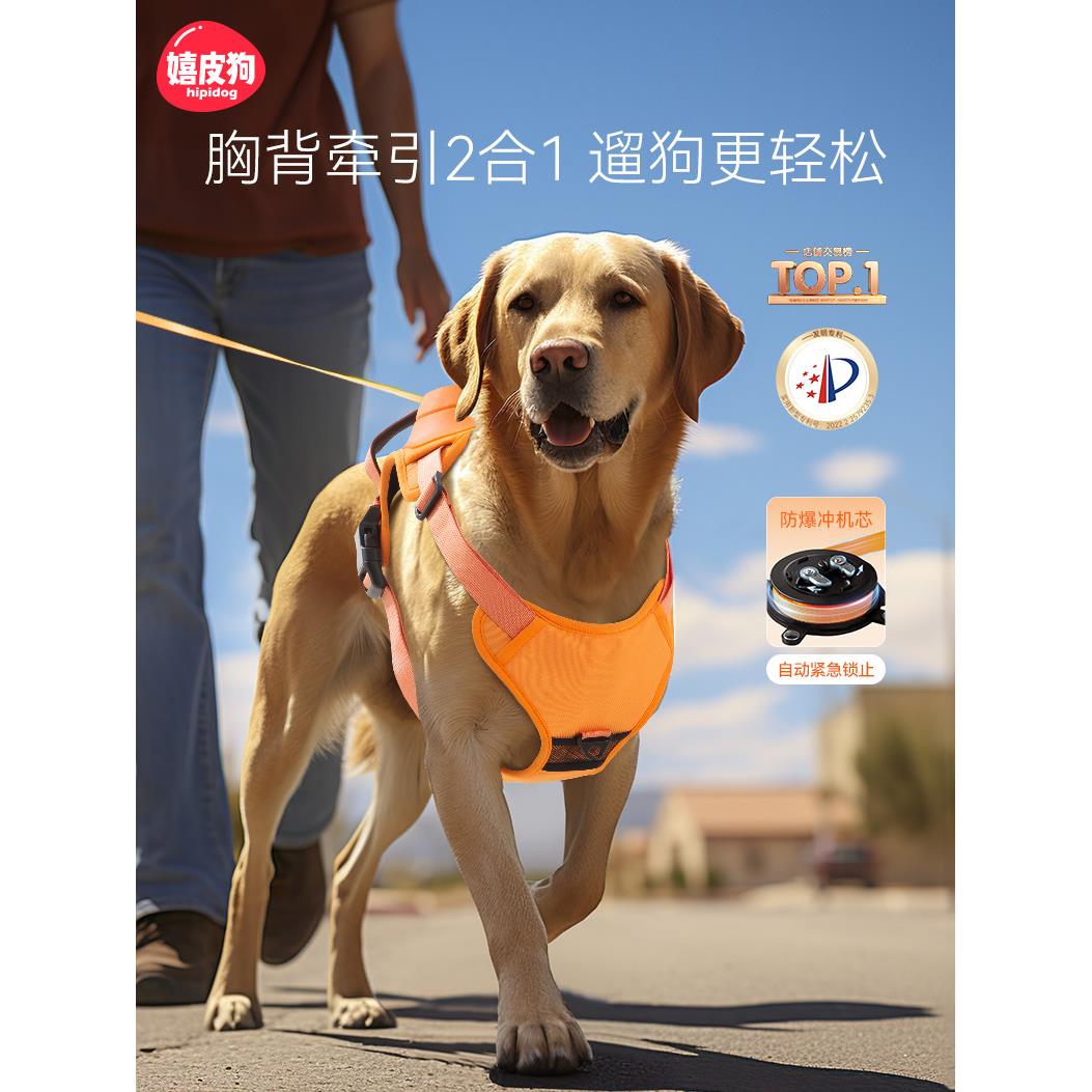 狗狗牵引绳胸背一体可伸缩遛狗绳中型大型犬宠物背心式背带防挣脱